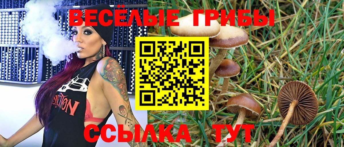 Псилоцибиновые грибы GOLDEN TEACHER  Вход с VPN  Чебаркуль 